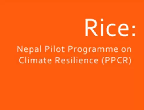 PILOT PROGRAMME ON CLIMATE RESILIENCE (PPCR) – NEPAL: BASELINE SUMMARY ON RICE